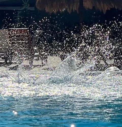 公寓 Baltic Meridian